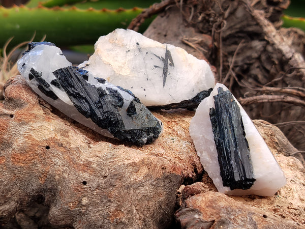 Polished on One Side Schorl Black Tourmaline in Quartz Matrix Specimens x 35 From Namibia