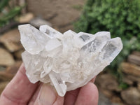 Natural Single Clear Quartz Crystals  x 12 From Mpika, Zambia - Toprock Gemstones and Minerals 