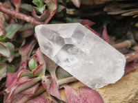 Natural Single Clear Quartz Crystals  x 12 From Mpika, Zambia - Toprock Gemstones and Minerals 