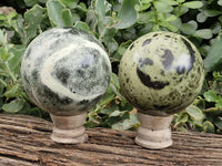 Polished Spotted Leopard Stone Spheres  x 2 From Zimbabwe - Toprock Gemstones and Minerals 