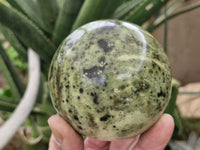 Polished Spotted Leopard Stone Spheres  x 2 From Zimbabwe - Toprock Gemstones and Minerals 