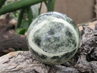 Polished Spotted Leopard Stone Spheres  x 2 From Zimbabwe - Toprock Gemstones and Minerals 