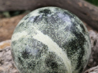 Polished Spotted Leopard Stone Spheres  x 2 From Zimbabwe - Toprock Gemstones and Minerals 