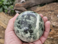 Polished Spotted Leopard Stone Spheres  x 2 From Zimbabwe - Toprock Gemstones and Minerals 