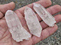 Natural Single Clear Quartz Crystals  x 35 From Zambia - Toprock Gemstones and Minerals 