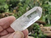 Natural Single Clear Quartz Crystals  x 35 From Zambia - Toprock Gemstones and Minerals 