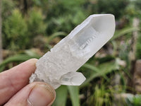 Natural Single Clear Quartz Crystals  x 35 From Zambia - Toprock Gemstones and Minerals 