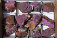 Natural Rare Purpurite Rough Specimens x 12 From Erongo, Namibia - TopRock