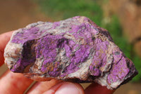 Natural Rare Purpurite Rough Specimens x 12 From Erongo, Namibia - TopRock