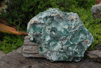 Natural Rough Mtorolite Plate x 1 From Mutorashanga, Zimbabwe - TopRock