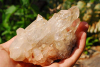 Natural Optic Tangerine Hue Quartz Crystal Clusters x 6 From Zambia - TopRock