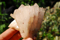 Natural Optic Tangerine Hue Quartz Crystal Clusters x 6 From Zambia - TopRock