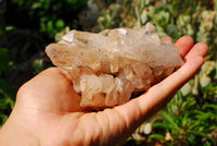 Natural Optic Tangerine Hue Quartz Crystal Clusters x 6 From Zambia - TopRock