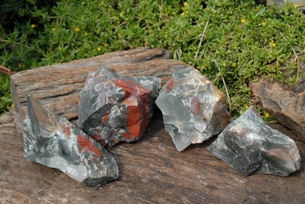 Natural Cobbed Bloodstone Specimens x 4 From Swaziland - TopRock