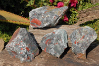 Natural Cobbed Bloodstone Pieces With Pyrite x 4 From Swaziland - TopRock