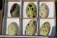 Polished Leopard Stone Standing Free Forms x 6 From Zimbabwe - TopRock