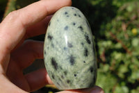 Polished Leopard Stone Standing Free Forms x 6 From Zimbabwe - TopRock