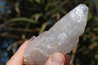 Natural Serenje Quartz Crystals x 5 From Serenje, Zambia - TopRock