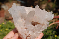 Natural Serenje Quartz Crystals x 5 From Serenje, Zambia - TopRock