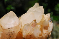 Natural Beautiful White Spikey Quartz Cluster Display Pieces  x 4 From Madagascar - TopRock