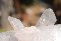 Natural Serenje Quartz Crystals x 5 From Serenje, Zambia - TopRock