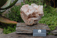 Natural Clear Zambian Quartz Crystal Cluster x 1 From Serenje, Zambia - TopRock