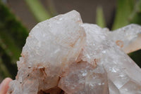 Natural Clear Zambian Quartz Crystal Cluster x 1 From Serenje, Zambia - TopRock