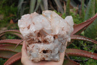 Natural Clear Zambian Quartz Crystal Cluster x 1 From Serenje, Zambia - TopRock