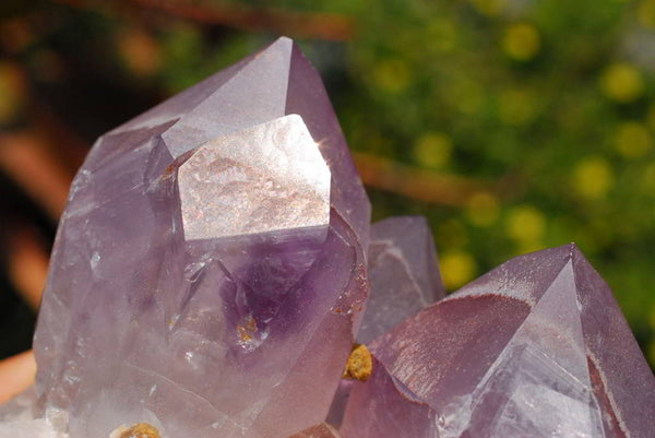 Natural Zambia Amethyst Quartz Clusters x 6 From Mumbwe, Zambia - TopRock