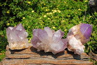 Natural Zambia Amethyst Quartz Clusters x 6 From Mumbwe, Zambia - TopRock