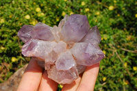 Natural Zambia Amethyst Quartz Clusters x 6 From Mumbwe, Zambia - TopRock