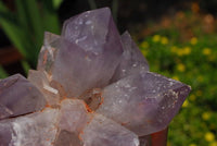 Natural Zambia Amethyst Quartz Clusters x 6 From Mumbwe, Zambia - TopRock