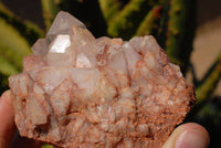 Natural Quartz Crystal Clusters x 3 From Zambia - TopRock