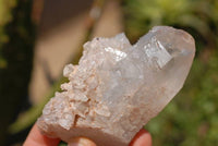 Natural Quartz Crystal Cluster Specimens x 12 From Zambia - TopRock