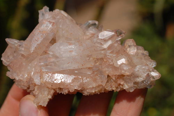 Natural Quartz Crystal Cluster Specimens x 12 From Zambia - TopRock