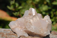 Natural Quartz Crystal Cluster Specimens x 12 From Zambia - TopRock