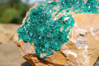 Natural Huge Dioptase Specimen Classic Emerald Green Crystals On Dolomite Matrix Museum Piece x 1 From Tantara Kambove, Congo - TopRock