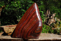 Polished Extra Large Tiger Iron Banded Iron Stone Display Piece x 1 From Madagascar - TopRock