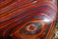 Polished Extra Large Tiger Iron Banded Iron Stone Display Piece x 1 From Madagascar - TopRock