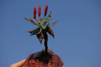 Polished Large Gemstone Art Aloe - sold per piece -  From South Africa - Toprock Gemstones and Minerals 