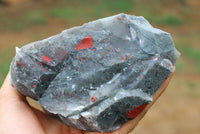 Natural Cobbed Bloodstone Specimens x 3 From Swaziland - TopRock