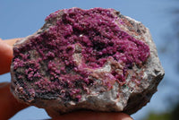 Natural Drusy Salrose Cobaltion Dolomite Specimens x 5 From Kakanda, Congo - TopRock