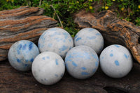 Polished Blue Spotted Spinel Spheres x 6 From Madagascar - TopRock