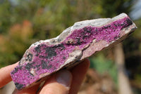 Natural Drusy Salrose Cobaltion Dolomite Specimens x 5 From Kakanda, Congo - TopRock