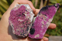 Natural Drusy Salrose Cobaltion Dolomite Specimens x 5 From Kakanda, Congo - TopRock