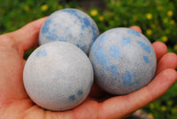 Polished Blue Spotted Spinel Spheres x 6 From Madagascar - TopRock