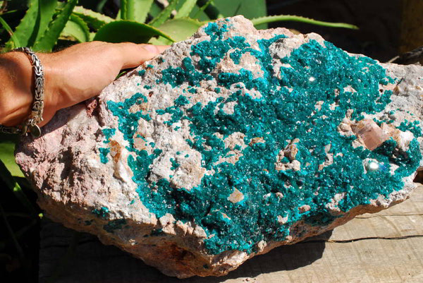 Natural XXXXL Giant Museum Quality Emerald Green Dioptase Specimen x 1 From Tantara, Congo - TopRock