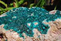 Natural XXXXL Giant Museum Quality Emerald Green Dioptase Specimen x 1 From Tantara, Congo - TopRock