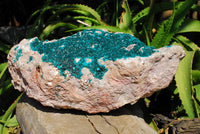 Natural XXXXL Giant Museum Quality Emerald Green Dioptase Specimen x 1 From Tantara, Congo - TopRock