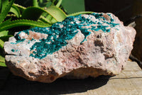 Natural XXXXL Giant Museum Quality Emerald Green Dioptase Specimen x 1 From Tantara, Congo - TopRock